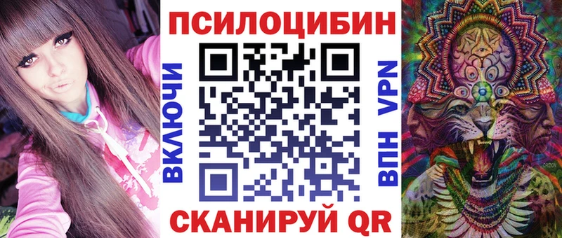 MEGA маркетплейс  Торопец  Галлюциногенные грибы Magic Shrooms 